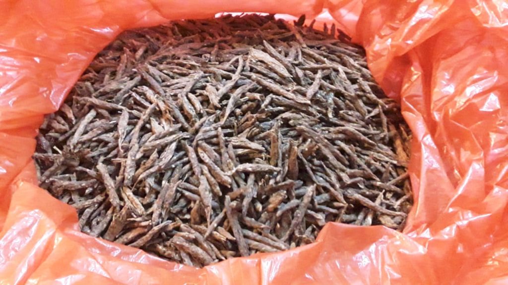 Dri seized gold and silver from bhutan to kolkata