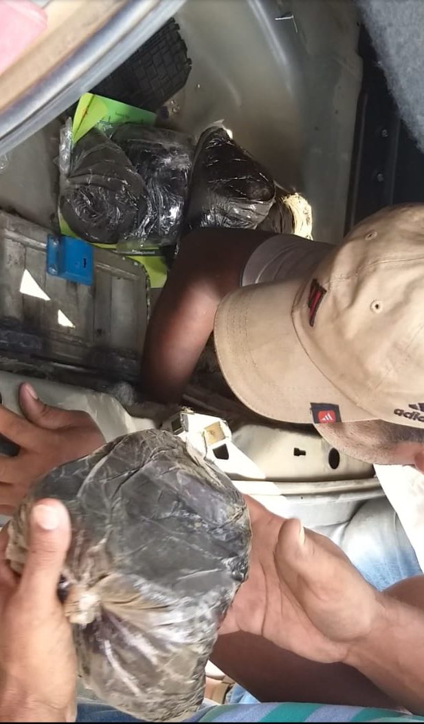 Four arrested with 9.7 kg snake venom