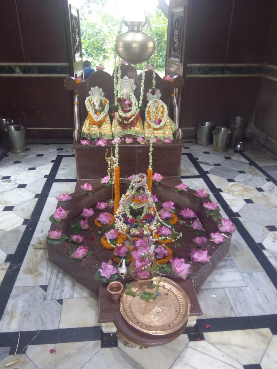 sahastraghat-rudrabhishek-by-pushkarana-samaj