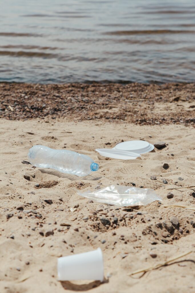 World environment day